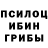 Галлюциногенные грибы мицелий Andriy Sakernik
