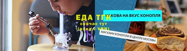 ECSTASY Алзамай