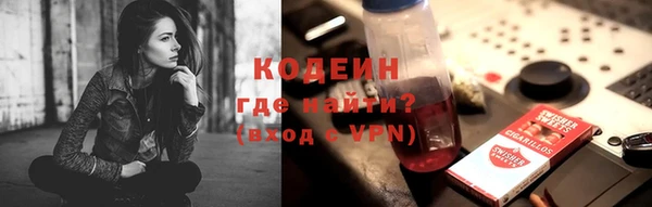 ECSTASY Алзамай