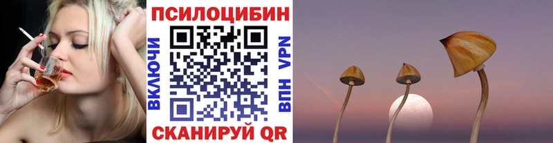 Псилоцибиновые грибы мухоморы  MEGA как зайти  Кимры  дарнет шоп 