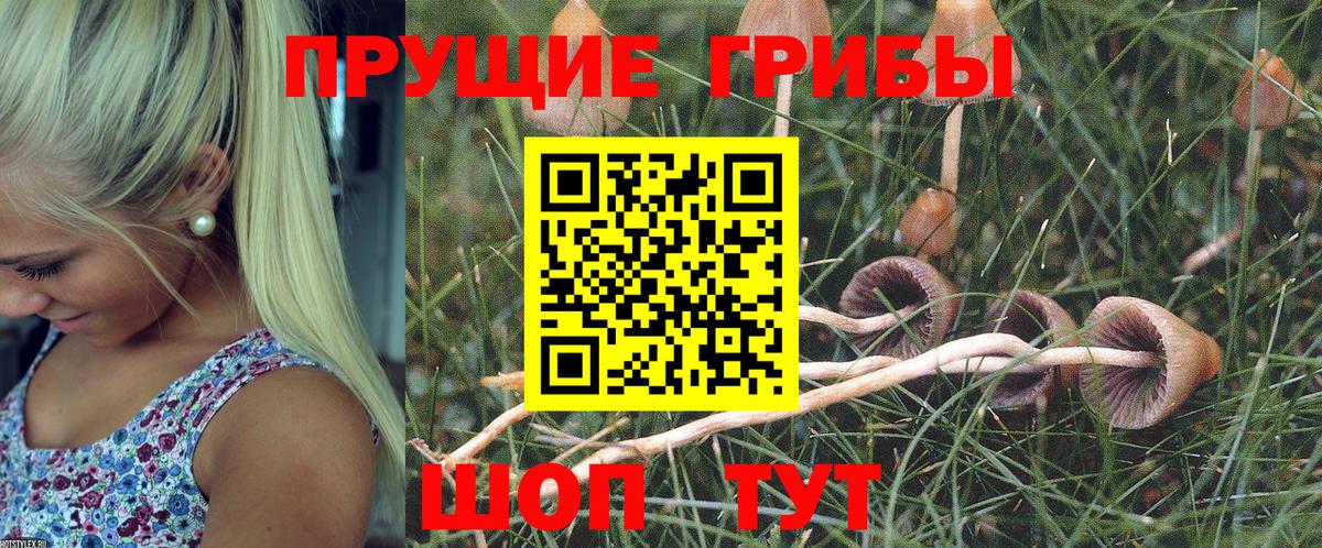Галлюциногенные грибы Psilocybine cubensis  Псилоцибиновые грибы MAGIC MUSHROOMS  Вход с VPN  наркотики  Кимры 
